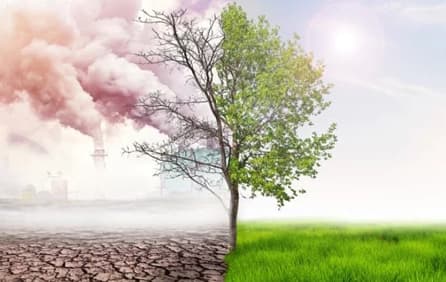 De que forma os gases de efeito estufa fazem parte da nossa vida?